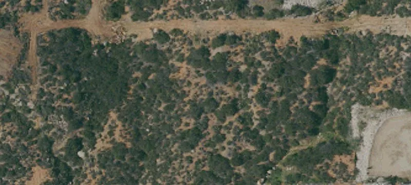 Tavern Rd