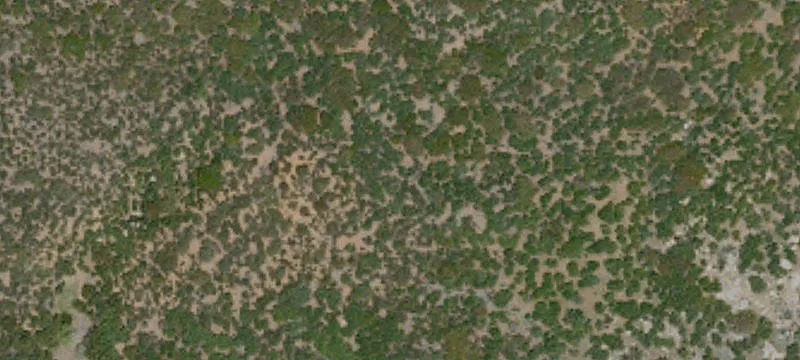 14502 Sunrise Hwy