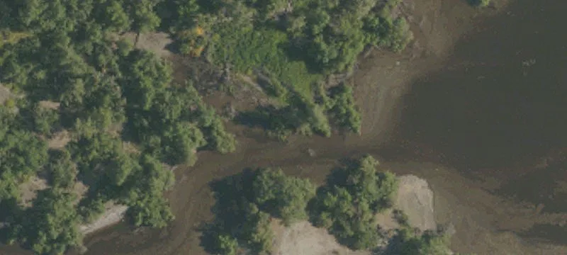 Arcadia, CA 91006