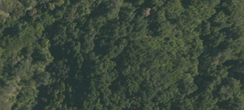 653 Old Topanga Cyn Rd