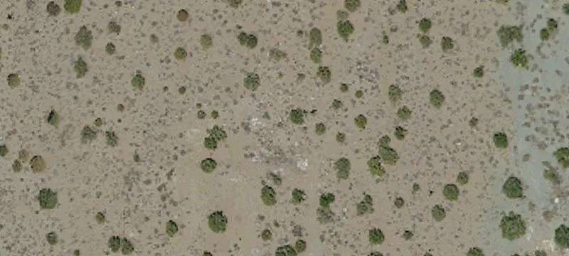 Pinon Hills, CA 92372