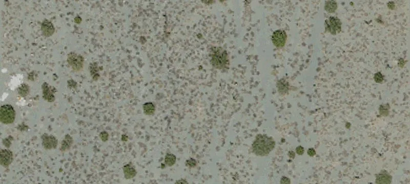 Smoke Tree Rd