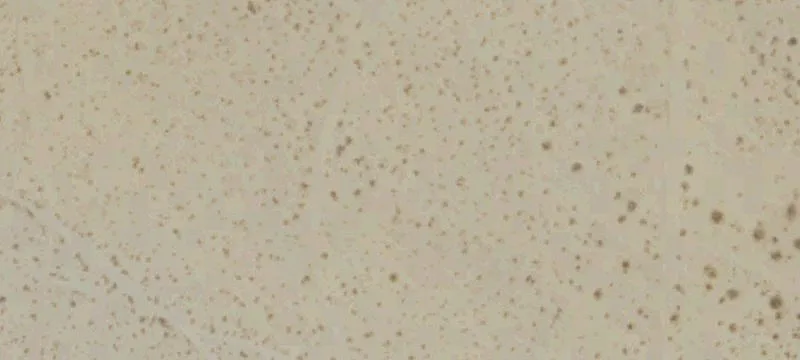 Twentynine Palms, CA 92277
