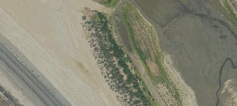 Loma Linda, CA 92354