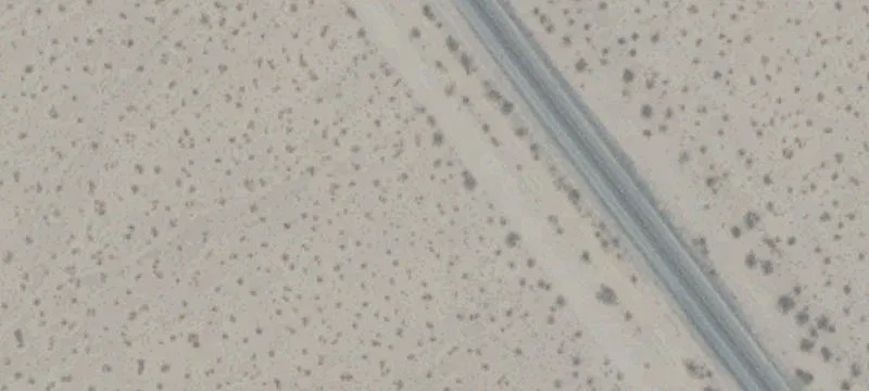 Nipton, CA 92364