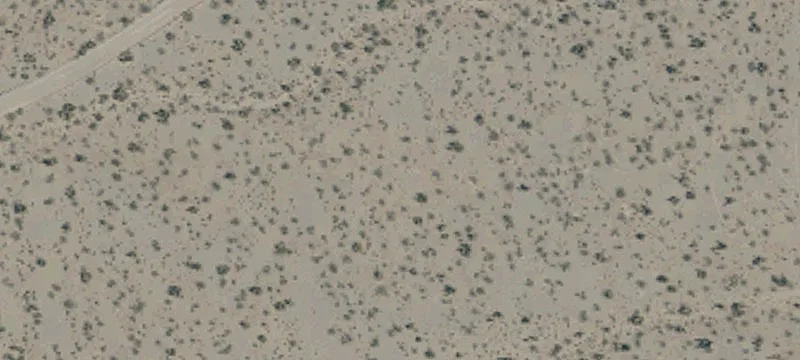 Nipton, CA 92364