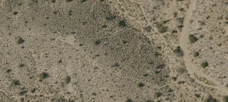 Nipton, CA 92364