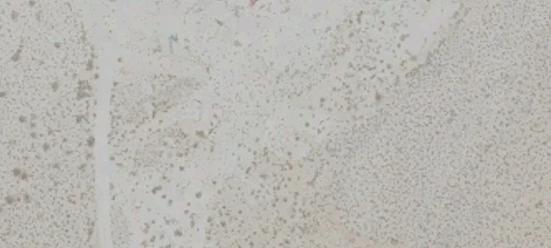 Lucerne Valley, CA 92356