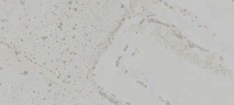 Lucerne Valley, CA 92356