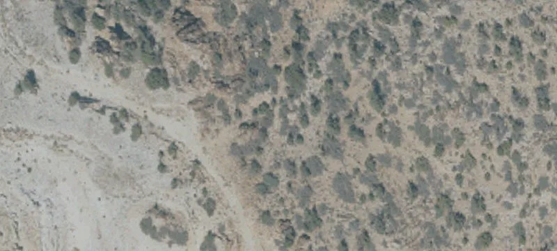 Nipton, CA 92364