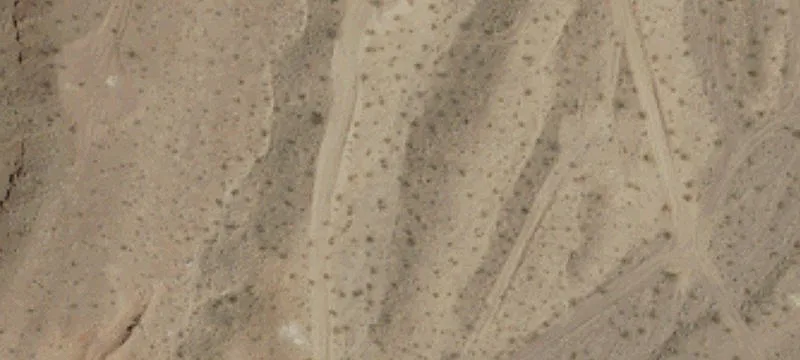 Ft Irwin Rd