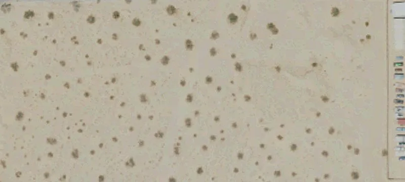Twentynine Palms, CA 92277