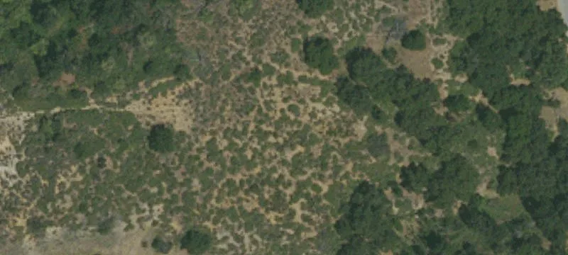 Chino Hills, CA 91709