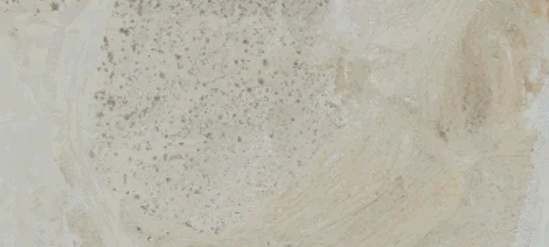 Apple Valley, CA 92307