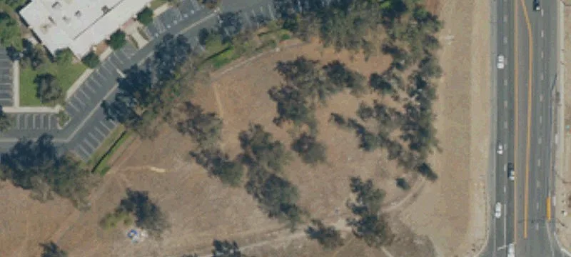 Orange Tree Ln