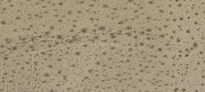29 Palms Hwy