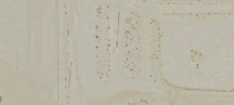 Oro Grande, CA 92368