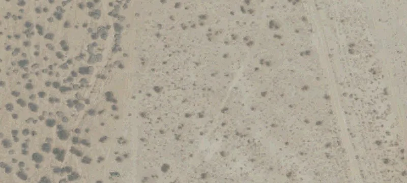 21992 Us Hwy 395