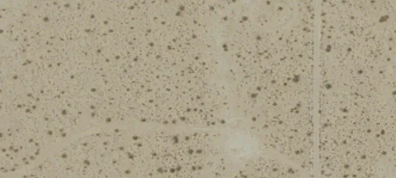 Lucerne Valley, CA 92356