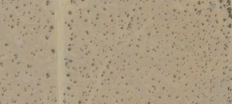 Apple Valley, CA 92307