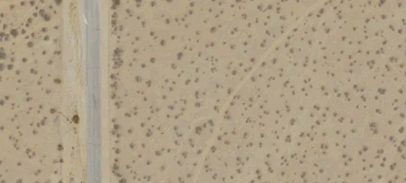 Apple Valley, CA 92307