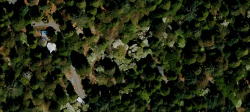 Cedarpines Park, CA 92322