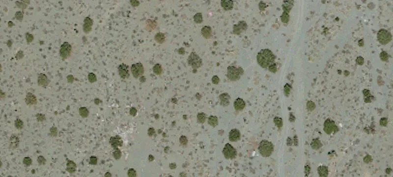 Pinon Hills, CA 92372