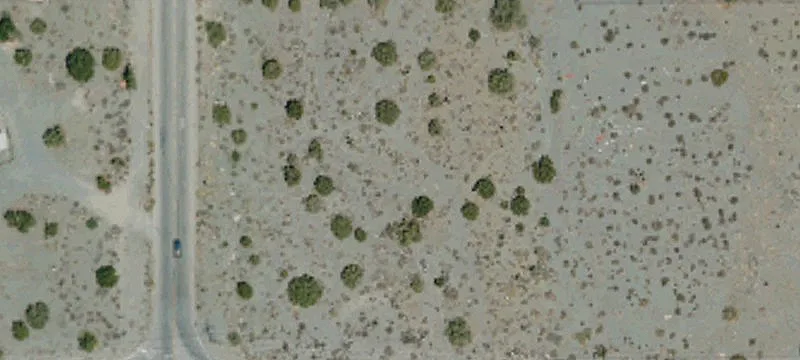 Pinon Hills, CA 92372