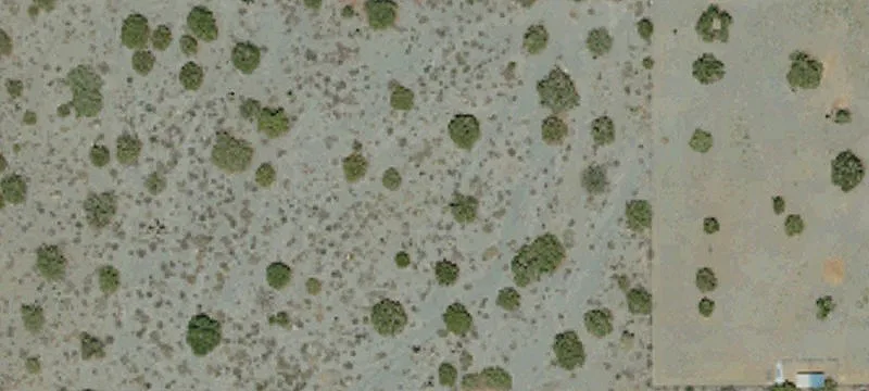 Pinon Hills, CA 92372