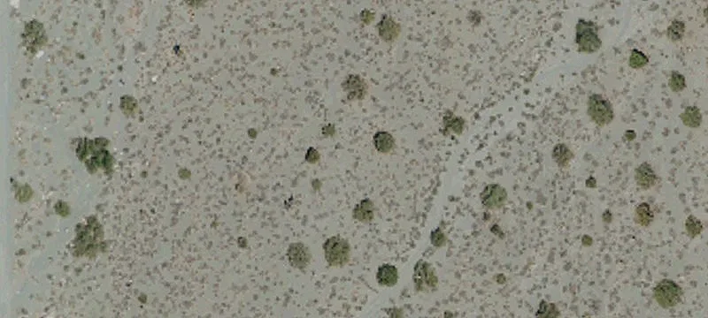 Pinon Hills, CA 92372