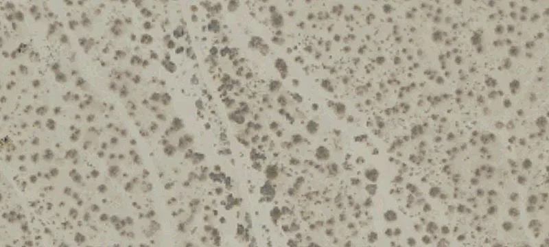 Pinon Hills, CA 92372
