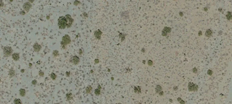 Pinon Hills, CA 92372