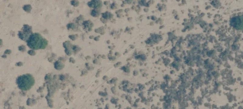 Needles, CA 92363