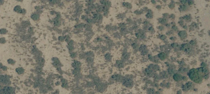 Needles, CA 92363