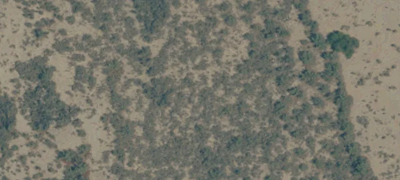 Needles, CA 92363