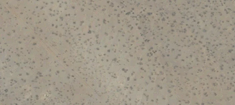 Oro Grande, CA 92368