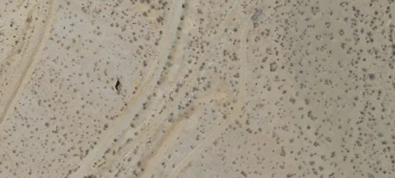 Oro Grande, CA 92368