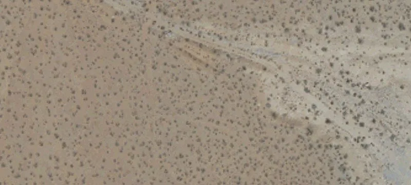 Oro Grande, CA 92368