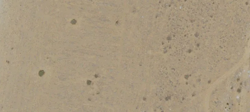 Hesperia, CA 92345