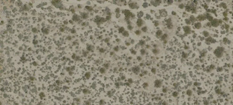 29 Palms Hwy