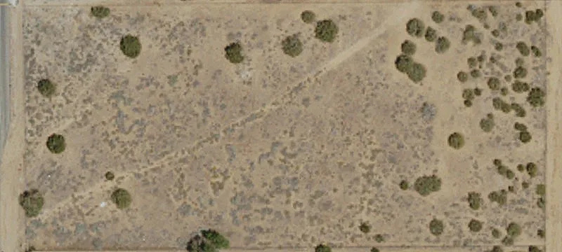 Nielson Rd