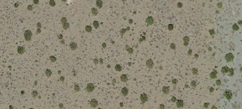 Acacia Rd