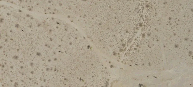 Palmdale Rd