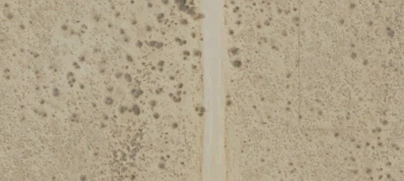 Palmdale Rd