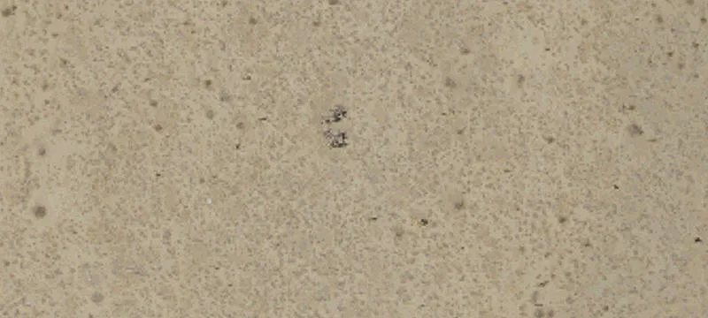 Palmdale Rd