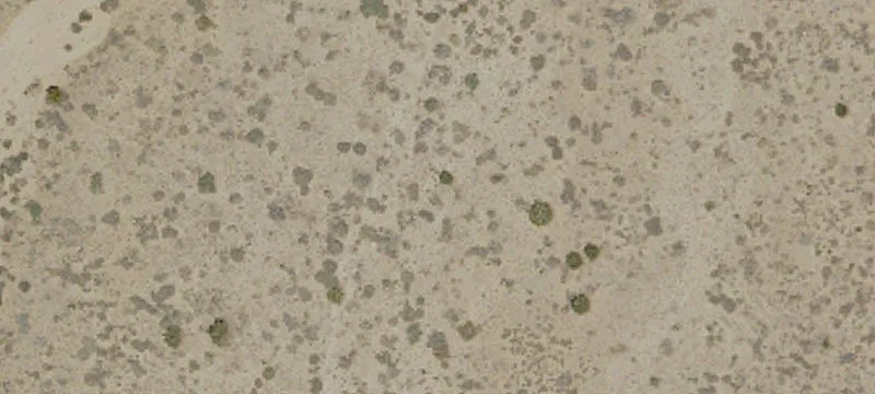 Phelan, CA 92371