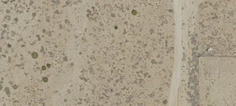 Phelan, CA 92371