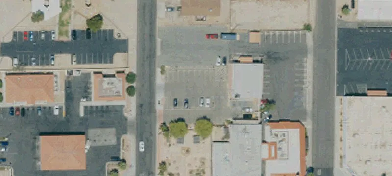 Desert Queen Ave
