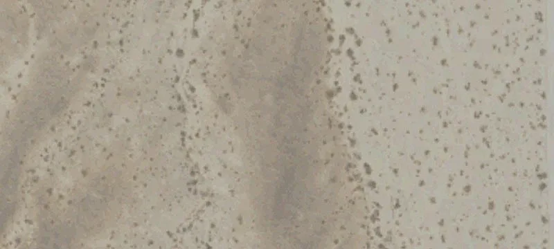 Twentynine Palms, CA 92277