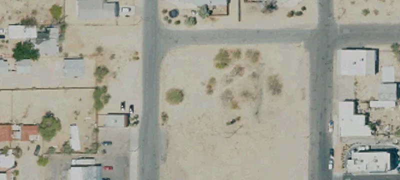 Smoke Tree Ave